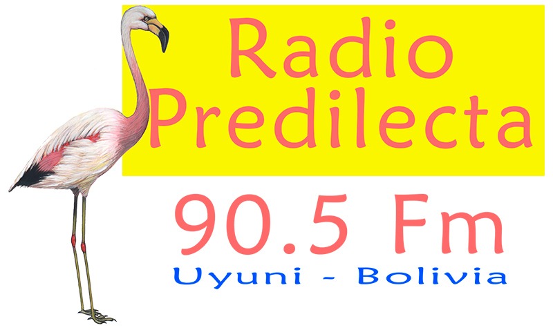 Radio Predilecta 90.5 FM
